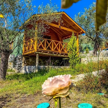 Hotel Kazdaglari Saglikli Yasam Koeyue Edremit  Exteriér fotografie
