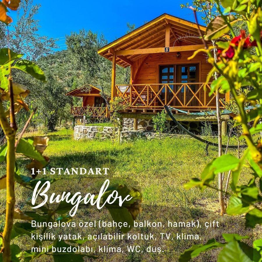 Hotel Kazdaglari Saglikli Yasam Koeyue Edremit  Exteriér fotografie